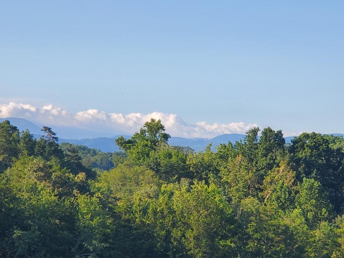 Huny Bear Lodge Pigeon Forge Zewnętrze zdjęcie