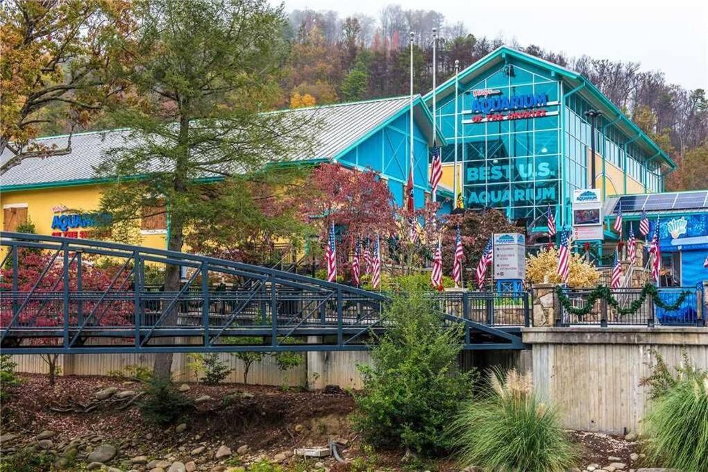 Huny Bear Lodge Pigeon Forge Zewnętrze zdjęcie